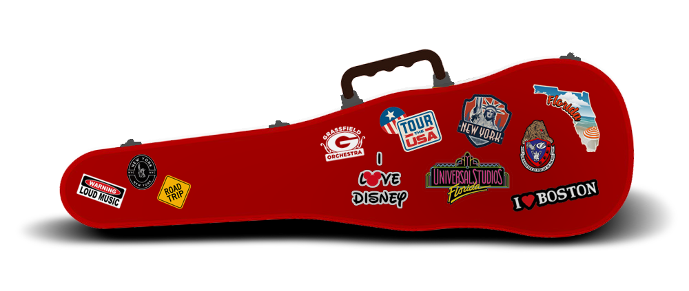 violin-case Travel Case